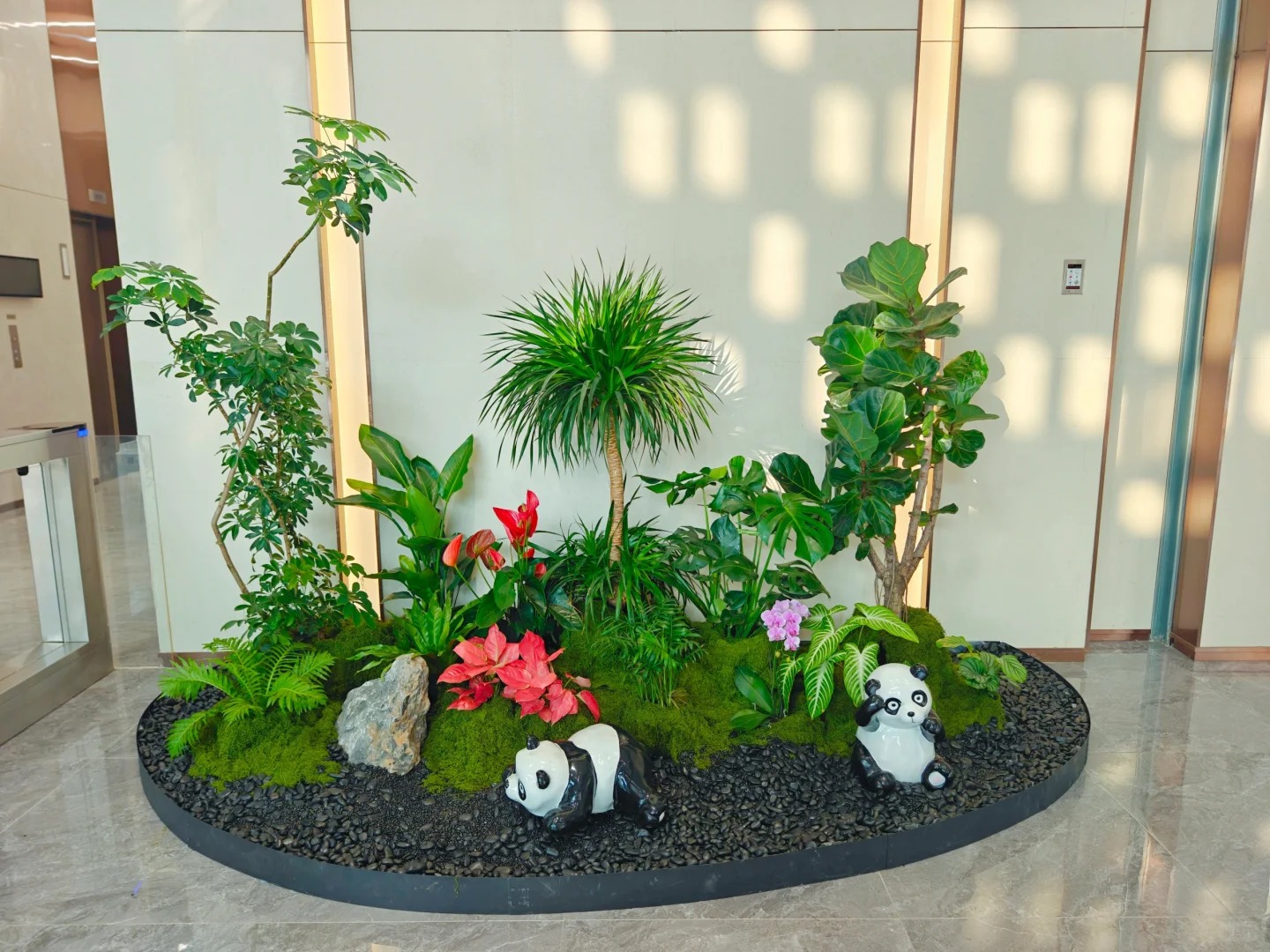 了解余姚盆景出租价格，开启别样租赁体验！